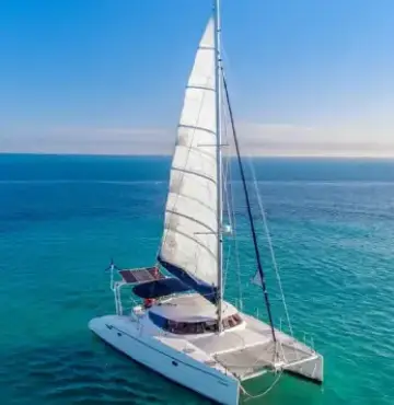 Catamaran mango front view