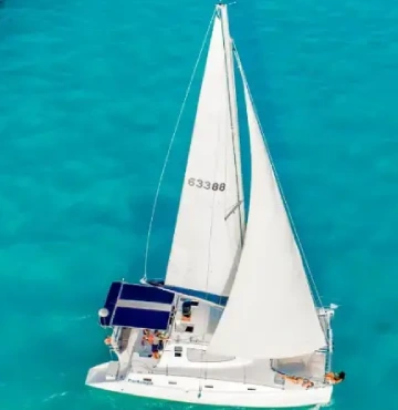 top view of catamaran over blue sea