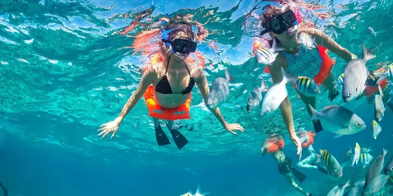 Snorkeling in the reef