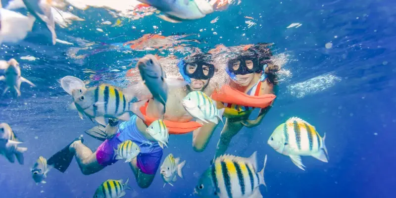 Snorqueling in the reef