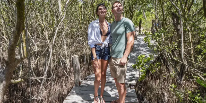 Walking trough isla contoy roads